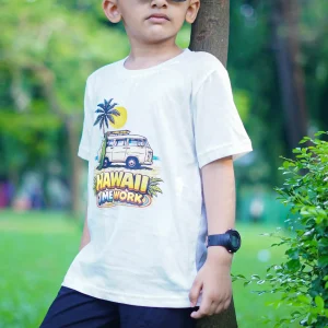 Boys Cotton Summer Outfit code(102)